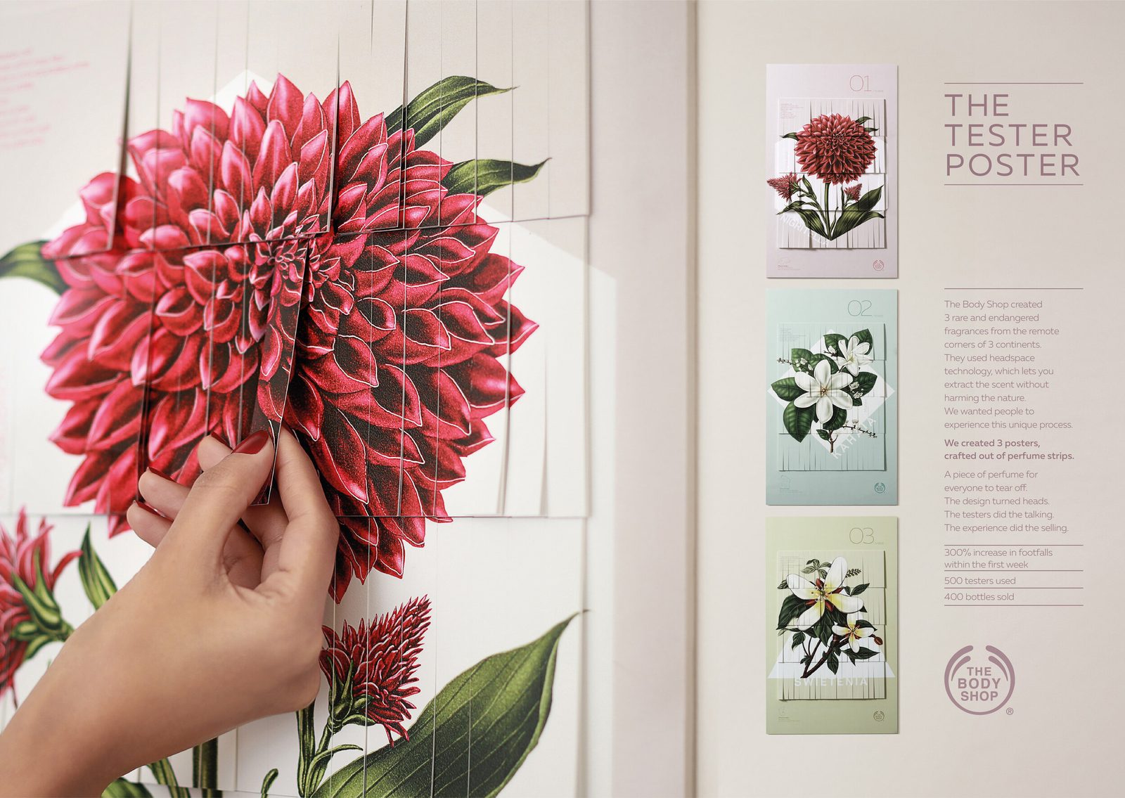 Body Shop — Cannes award board